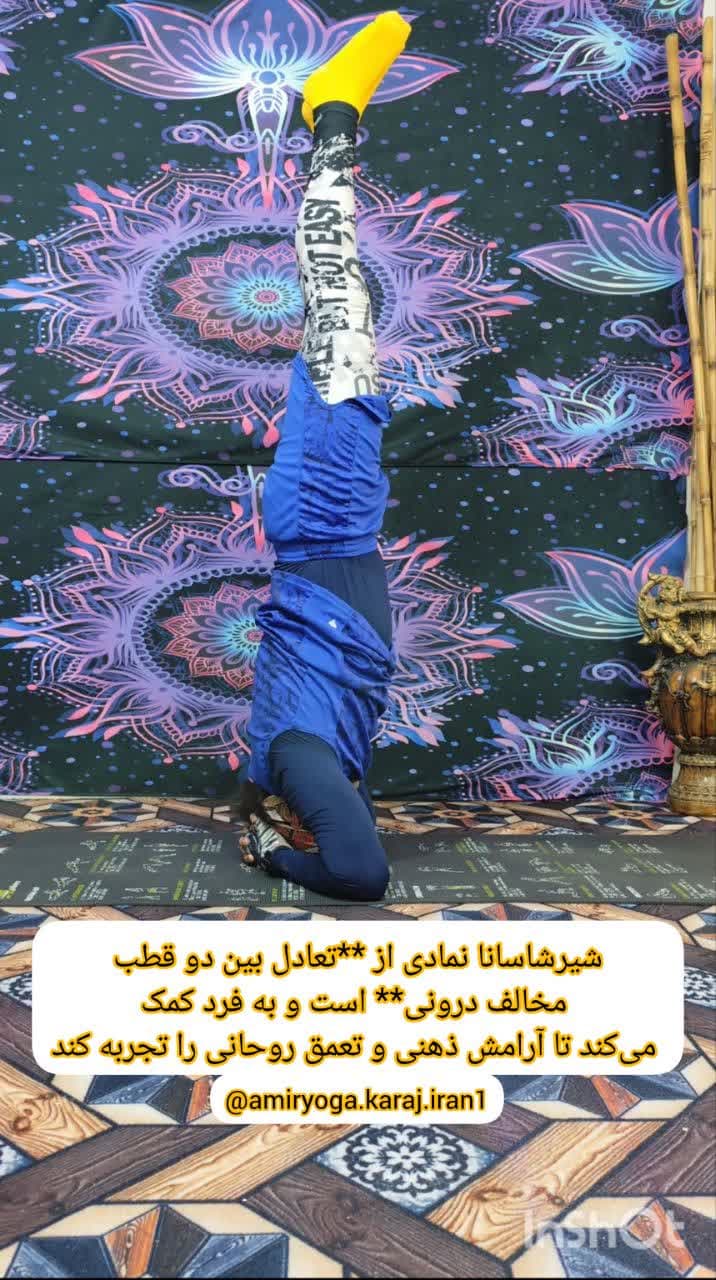 آموزش یوگای مقدماتی . یوگای متوسطه و یوگای پیشرفته در کرج - آموزش صفر تا صد یوگا کرج