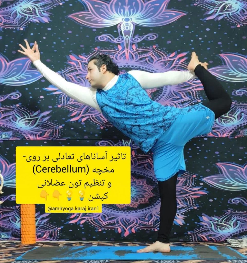 پاور یوگا در مهرشهر کرج | کلاسهای یوگای قدرتی برای تناسب اندام با استاد امیر بی درنگ