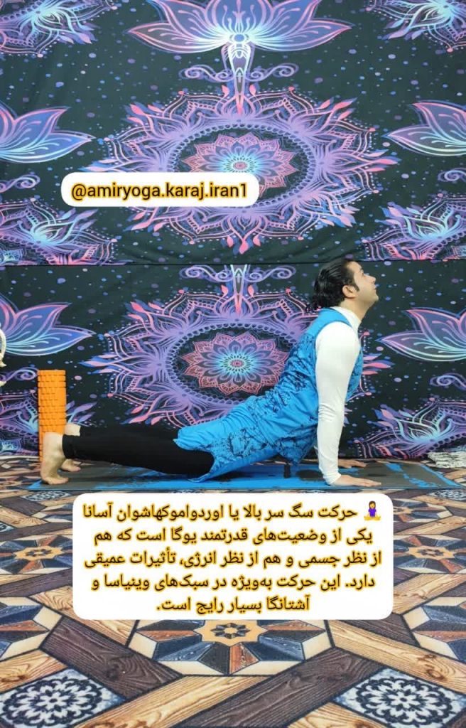 آموزش کامل آسانههای یوگا در کرج با استاد امیر بیدرنگ – مناسب برای تمام سنین