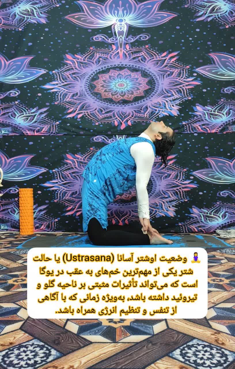 یوگا درمانی و مدیتیشن در کرج | با راهنمایی استاد امیر بیدرنگ، مربی مجرب و بینالمللی یوگا و مدیتیشن